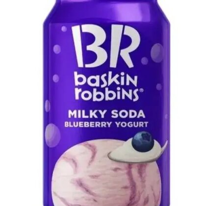 Baskin Robbins Blueberry Yogurt 0,350