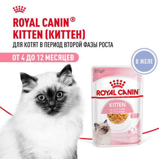 ROYAL CANIN Киттен пауч для котят от 4 до 12 месяцев, кусочки в желе, 85 г