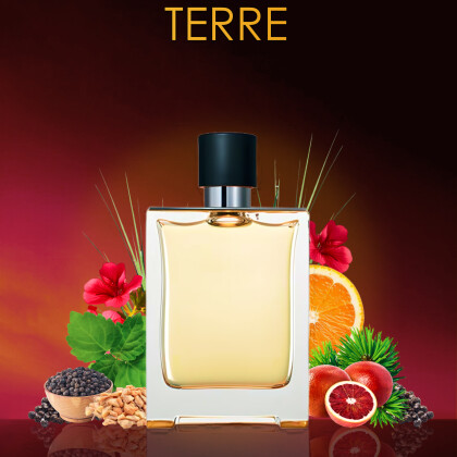 Terre / Терре