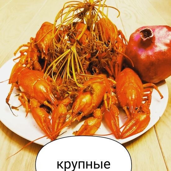 Раки варёные «Крупные»