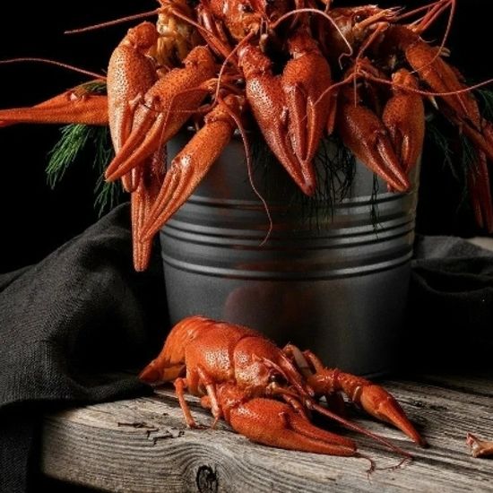 Раки Волжские, дикие (Вареные в рассоле)