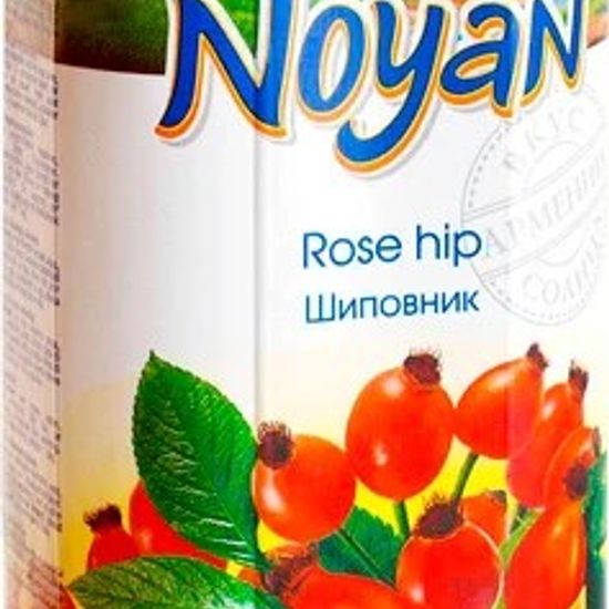 Шиповник