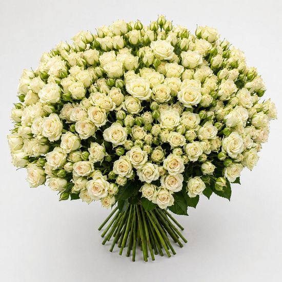 49 кустовых роз Royal P.
