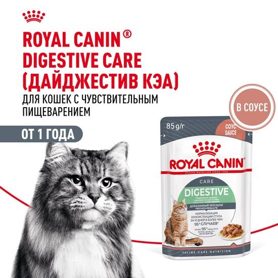 ROYAL CANIN Дайджестив Кэа пауч для взрослых кошек с чувствительным пищеварением, тонкие ломтики в соусе, 85 г