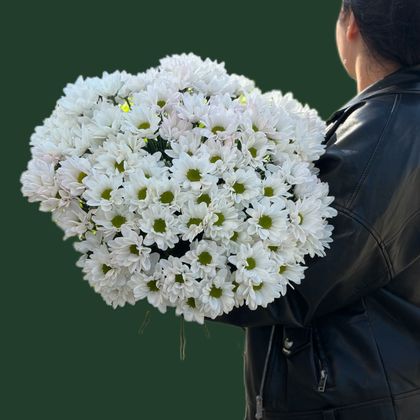 Хризантема кустовая 15шт