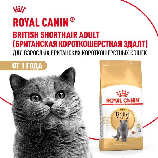 ROYAL CANIN Британская Короткошёрстная сухой корм для взрослых кошек породы британская короткошёрстная