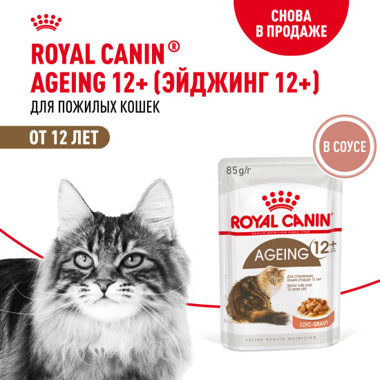 ROYAL CANIN Эйджинг 12+ пауч для кошек старше 12 лет, кусочки в соусе, 85 г