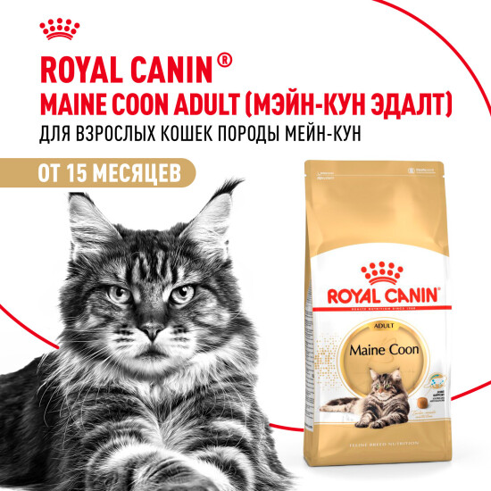 ROYAL CANIN Мейн Кун сухой корм для взрослых кошек породы мейн-кун