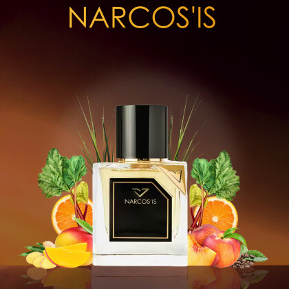 Narcosis / Наркозис