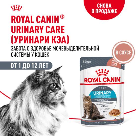 ROYAL CANIN Уринари Кэа пауч для взрослых кошек, профилактика МКБ, кусочки в соусе, 85 г