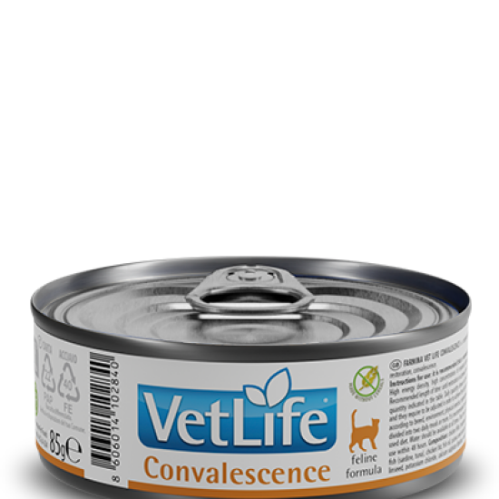 Farmina Vet Life Convalescence консервы для кошек, паштет, 85 г