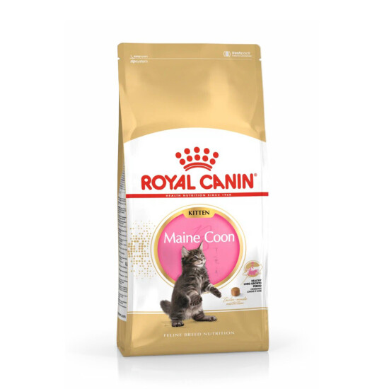 ROYAL CANIN Киттен Мейн Кун сухой корм для котят породы мейн-кун от 4 до 15 месяцев, 0,4 кг