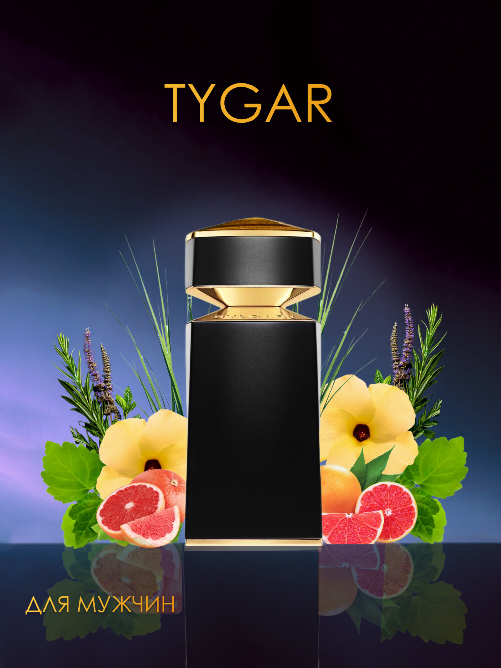Tygar / Тайгер