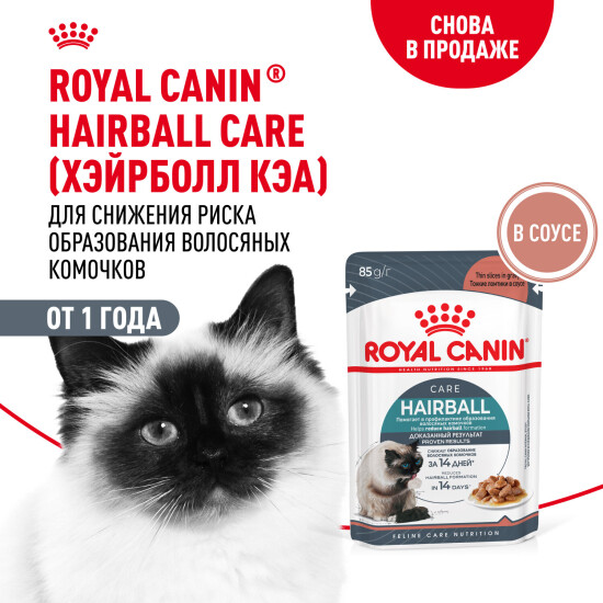 ROYAL CANIN Хэйрболл Кэа пауч для взрослых кошек, профилактика волосяных комочков, кусочки в соусе, 85 г