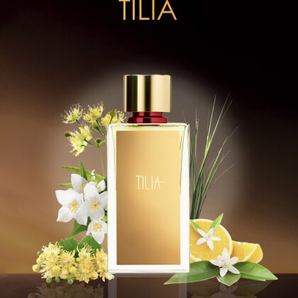 Tilia / Тилия