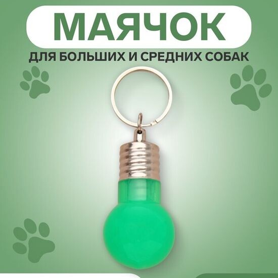 Маячок световой на ошейник для собак, зелёный