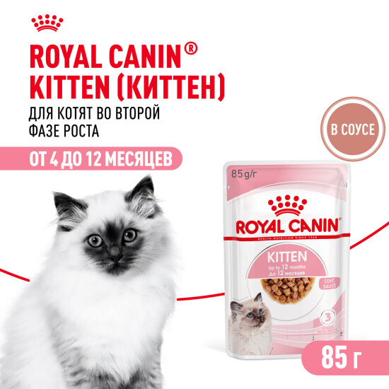ROYAL CANIN Киттен пауч для котят от 4 до 12 месяцев, кусочки в соусе, 85 г